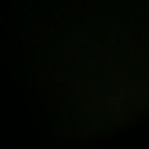 Meet your Posher, Magnolia