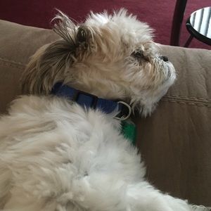 Meet your Posher, Ed