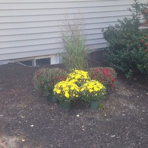 Meet your Posher, Audra