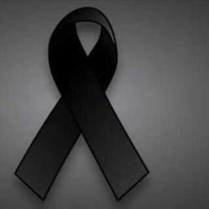 Meet your Posher, Lina