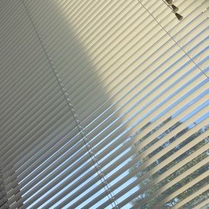 Meet your Posher, Randi