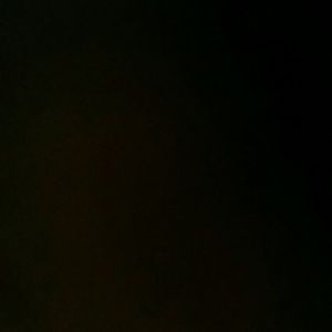 Meet your Posher, Lilian