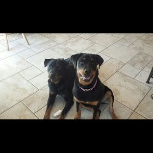 Meet your Posher, Carol