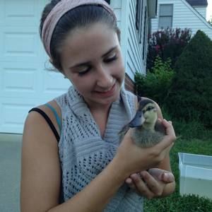 Meet your Posher, Taylor