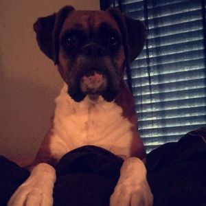 Meet your Posher, Sheina