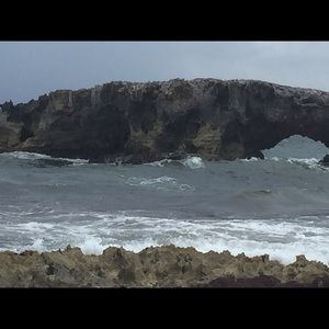 Meet your Posher, Jeanette