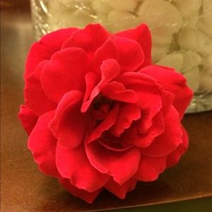 Meet your Posher, Marie