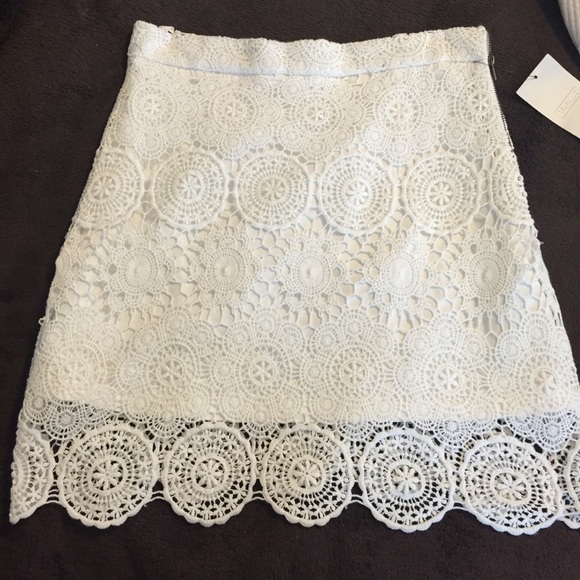 Zara Dresses & Skirts - Zara skirt