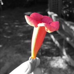 Meet your Posher, Vanessa