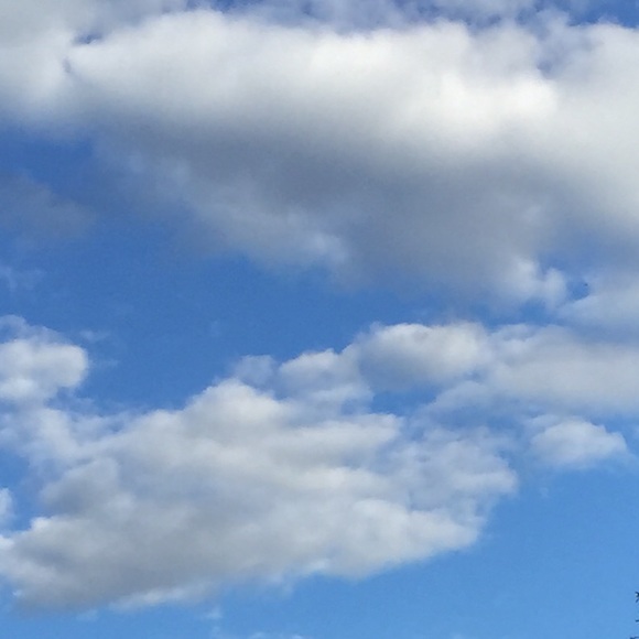 Meet your Posher, Jennifer - Picture 1 of 1