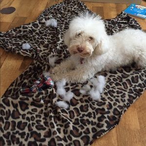 Meet your Posher, Mallory