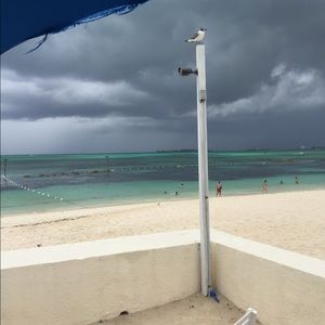 Meet your Posher, Vincent