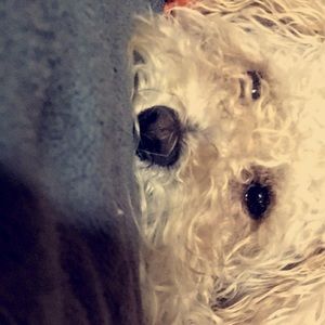 Meet your Posher, Yaritza