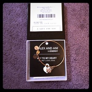 Alex and Ani Key To My Heart