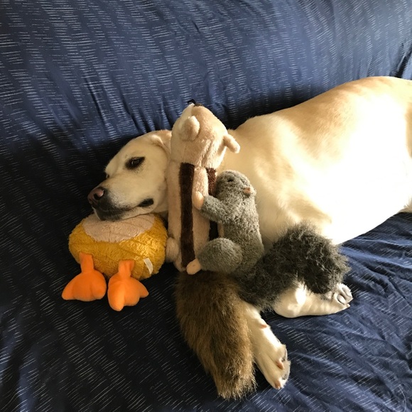 Meet your Posher, Sarah - Picture 2 of 5