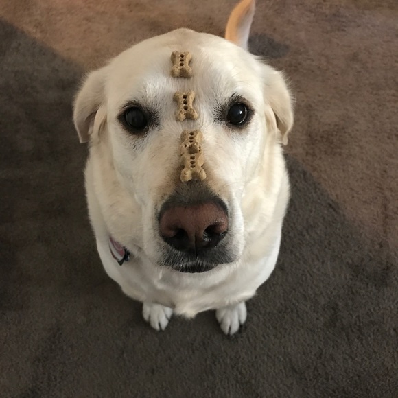 Meet your Posher, Sarah - Picture 4 of 5