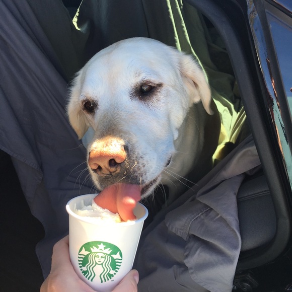 Meet your Posher, Sarah - Picture 5 of 5