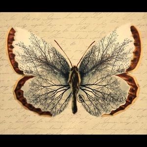 Meet your Posher, Shane