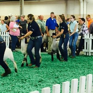 Meet your Posher, Brenna