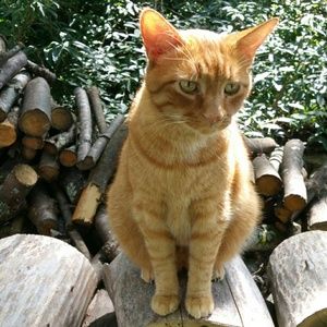 Meet your Posher, Selu