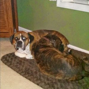 Meet your Posher, Erica