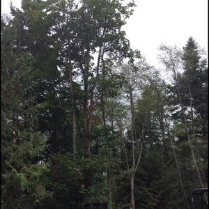 Meet your Posher, Riley