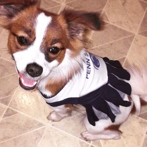 Meet your Posher, Courtney