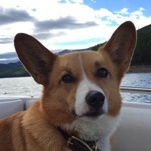 Meet your Posher, Sue