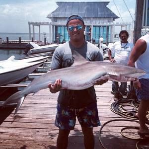 Meet your Posher, Bryant