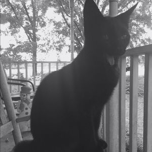 Meet your Posher, Savannah