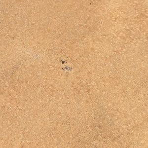 Meet your Posher, Logan