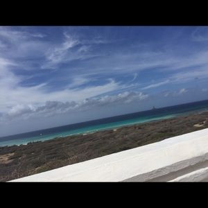 Meet your Posher, Brynne