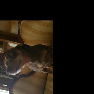 Meet your Posher, Vanessa