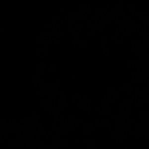 Meet your Posher, Tayla