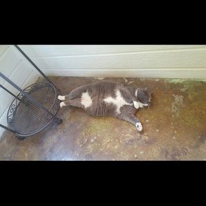 Meet your Posher, Jessica