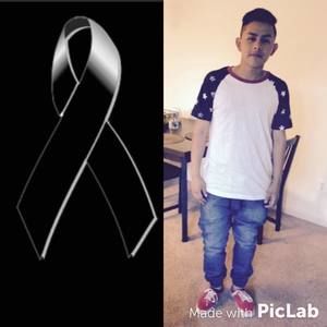 Meet your Posher, Roberto