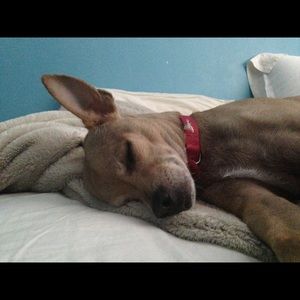 Meet your Posher, Brian