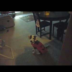 Meet your Posher, Salina