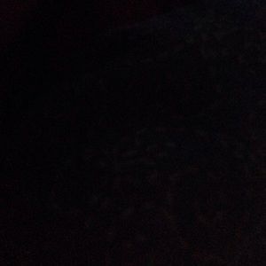 Meet your Posher, Troy