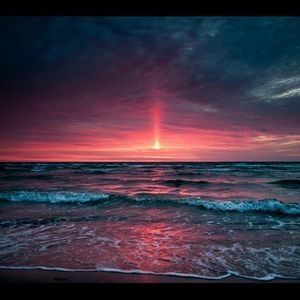 Meet your Posher, Logan