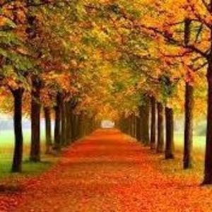 Meet your Posher, Cathy