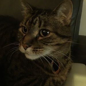 Meet your Posher, Carla