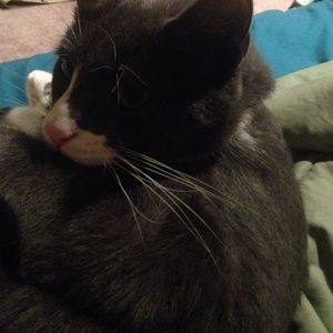 Meet your Posher, Thomas