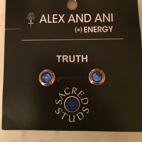Alex and Ani Jewelry - Alex and Ani Earrings. NWT