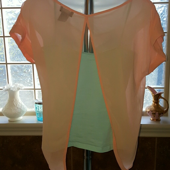 Sheer Blouse - Picture 2 of 2
