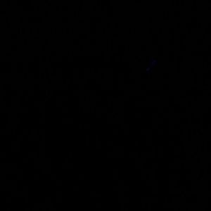 Meet your Posher, Rose