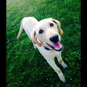 Meet your Posher, Monica