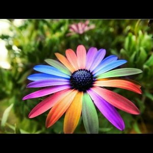 Meet your Posher, Fredlynn