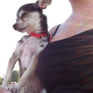 Meet your Posher, Jessi