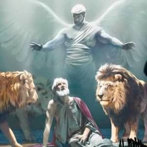 Meet your Posher, Belinda